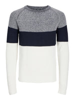 Jack & Jones Pannel - Colorblock striktrøje - HUSET Men & Women (9363127271771)